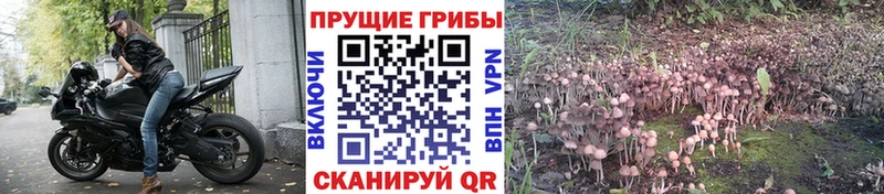Галлюциногенные грибы GOLDEN TEACHER  что такое наркотик  Балабаново 