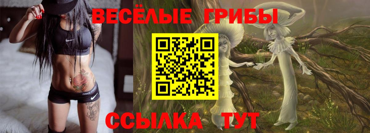 Балабаново  Псилоцибиновые грибы GOLDEN TEACHER  Вход с VPN 